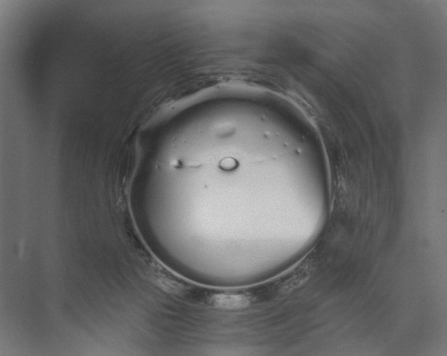 X0000073700169200608241426