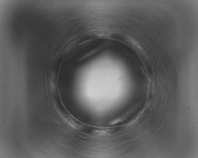 X0000073700170200608241426