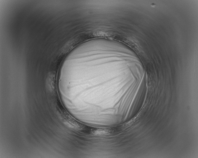 X0000073700171200608241426