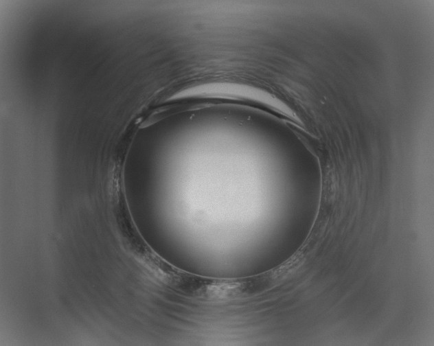 X0000073700172200608241426