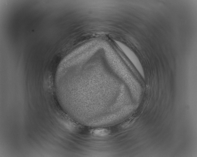 X0000073700173200608241426