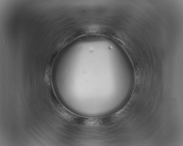 X0000073700175200608241426