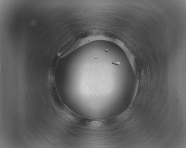 X0000073700176200608241426