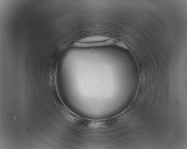 X0000073700177200608241426