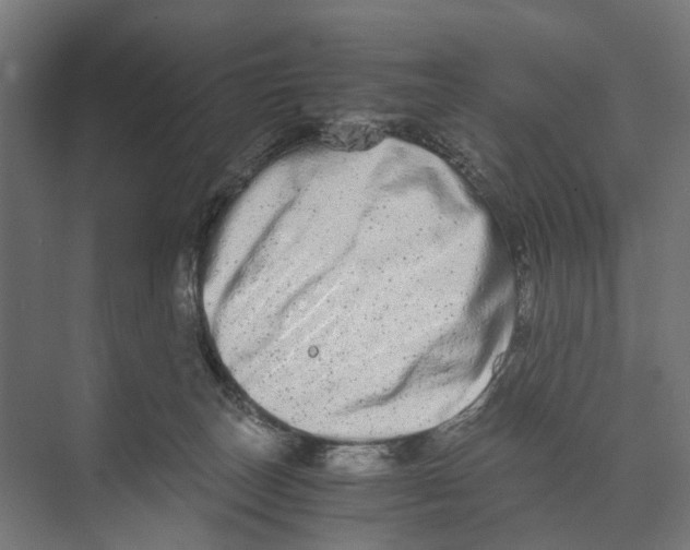 X0000073700179200608241426