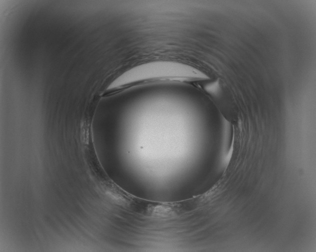 X0000073700180200608241426