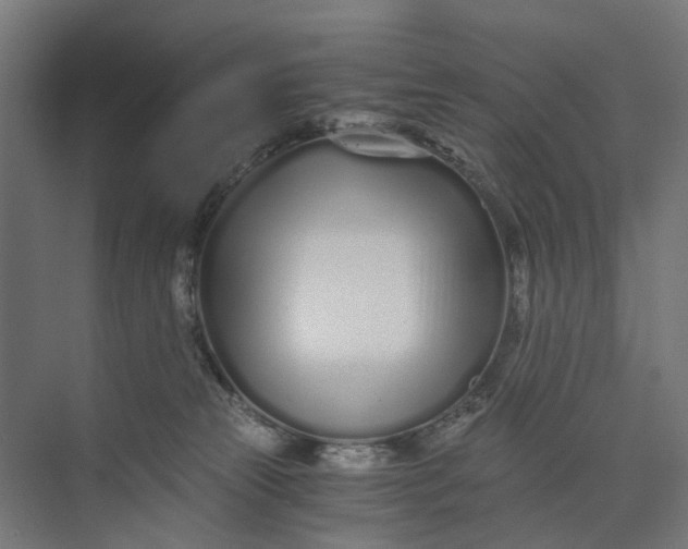 X0000073700181200608241426