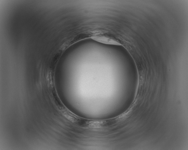 X0000073700182200608241426