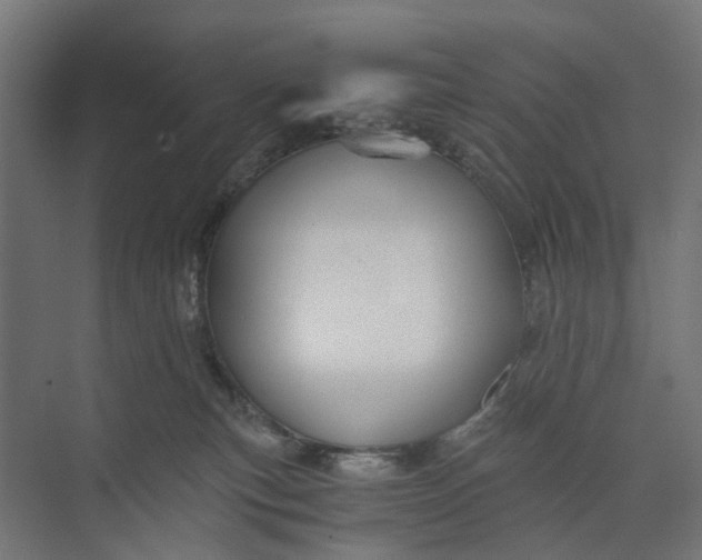 X0000073700183200608241426