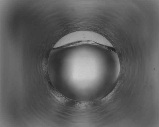 X0000073700186200608241427