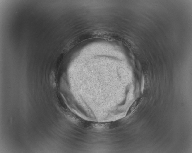 X0000073700187200608241427