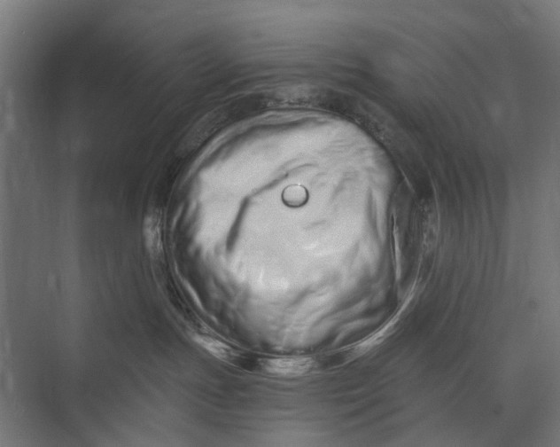 X0000073700191200608241427