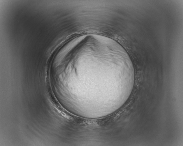 X0000073700194200608241426