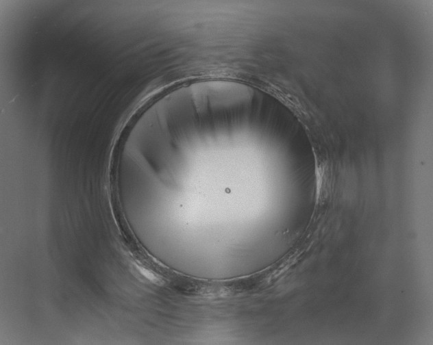 X0000073700195200608241426