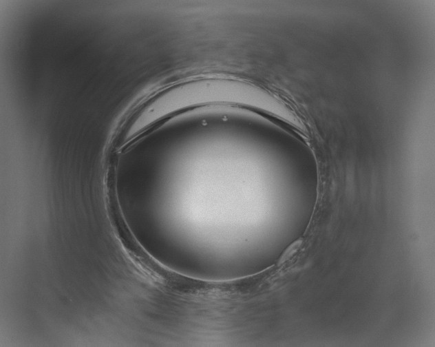 X0000073700197200608241426