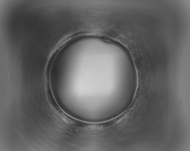 X0000073700198200608241426