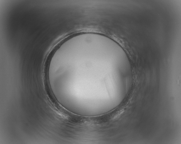 X0000073700199200608241426