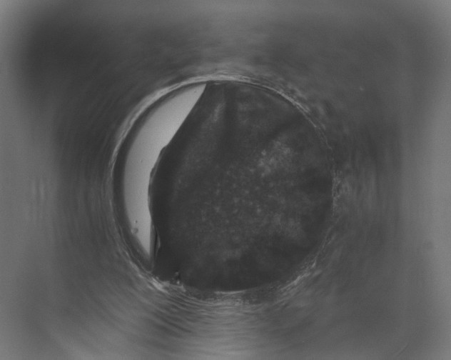 X0000073700200200608241426