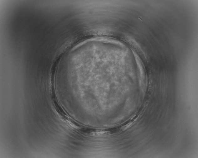 X0000073700202200608241426