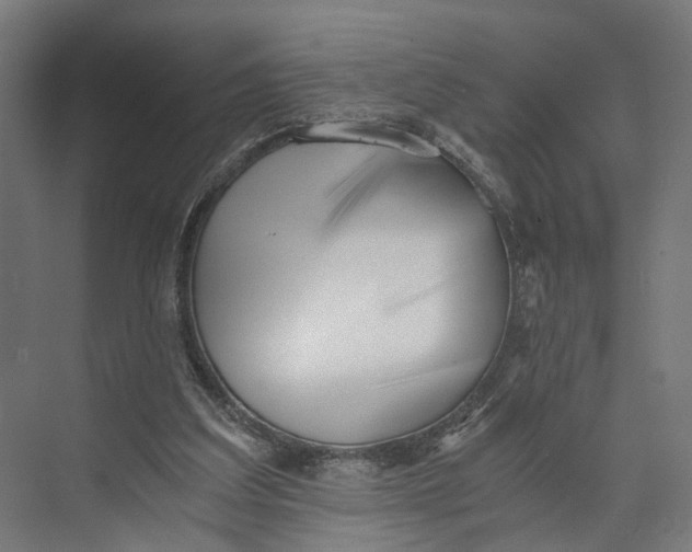 X0000073700203200608241426