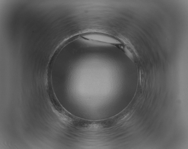 X0000073700204200608241426