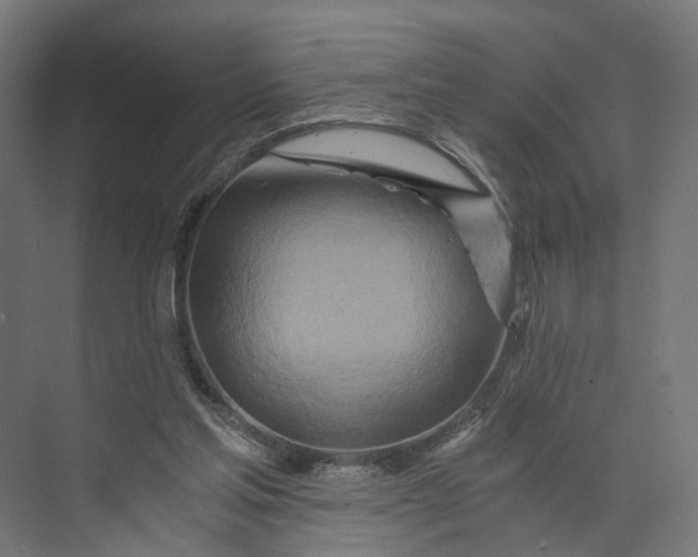 X0000073700205200608241426