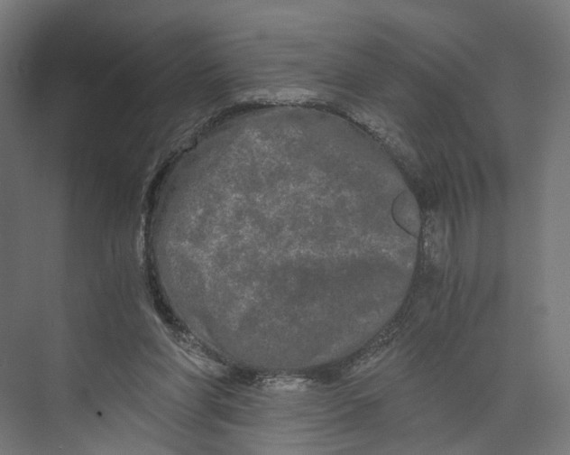 X0000073700206200608241426