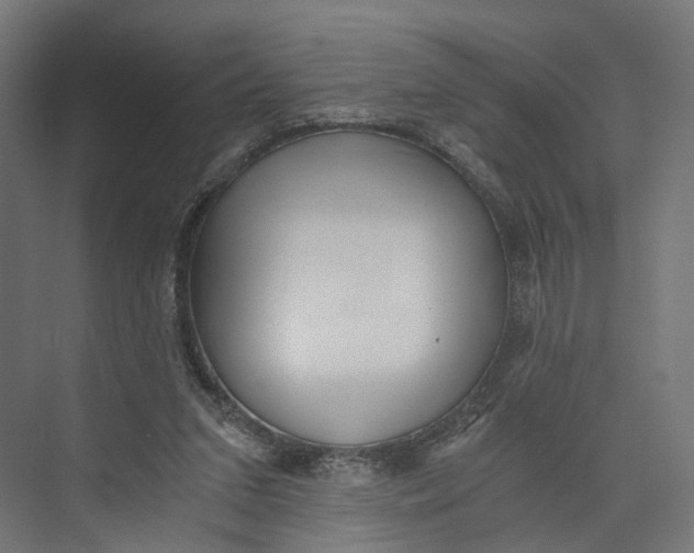 X0000073700207200608241426