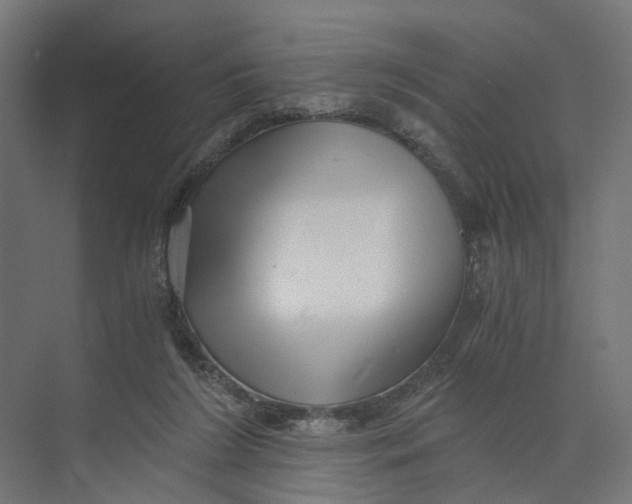 X0000073700212200608241426