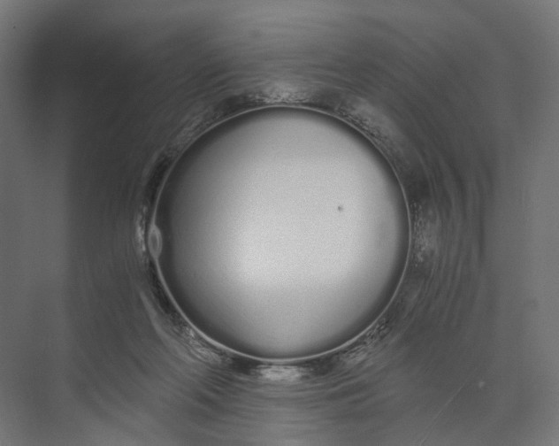 X0000073700214200608241425