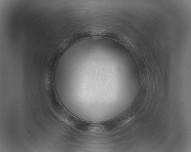 X0000073700215200608241425