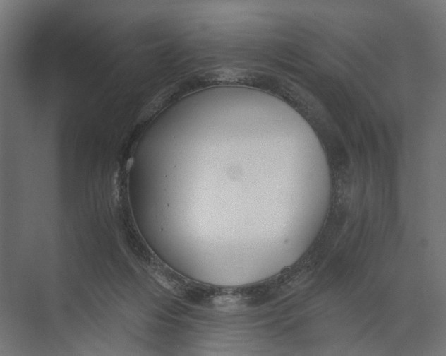 X0000073700216200608241425