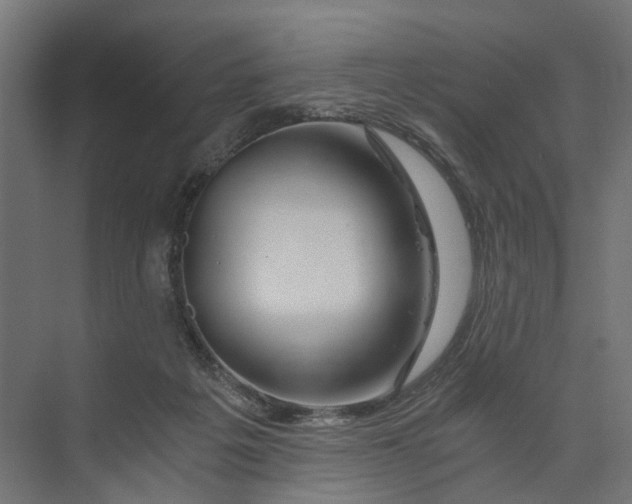 X0000073700217200608241425