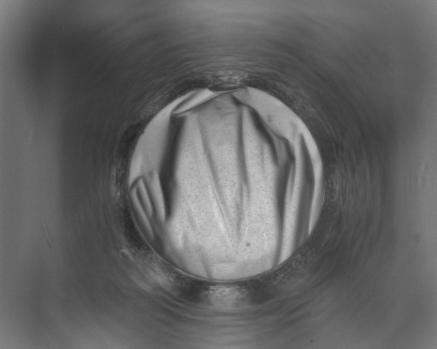 X0000073700218200608241425