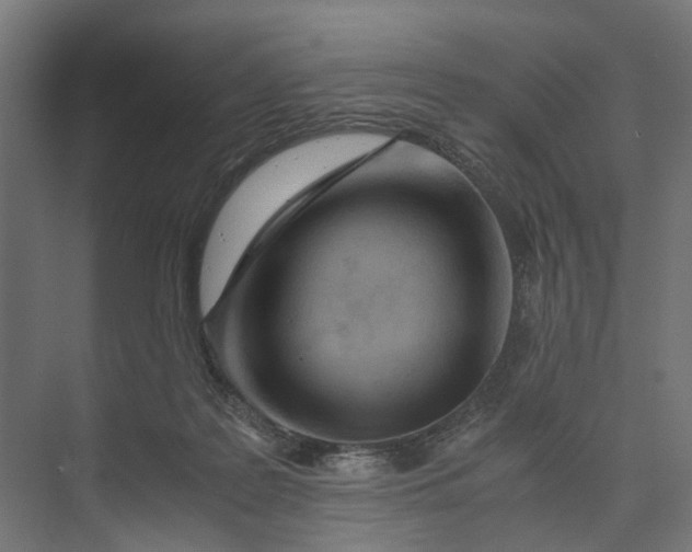 X0000073700219200608241425