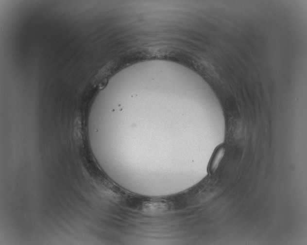 X0000073700220200608241425