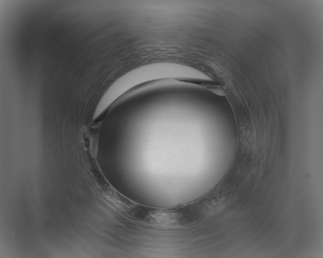 X0000073700221200608241425