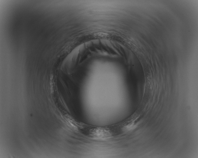 X0000073700223200608241425