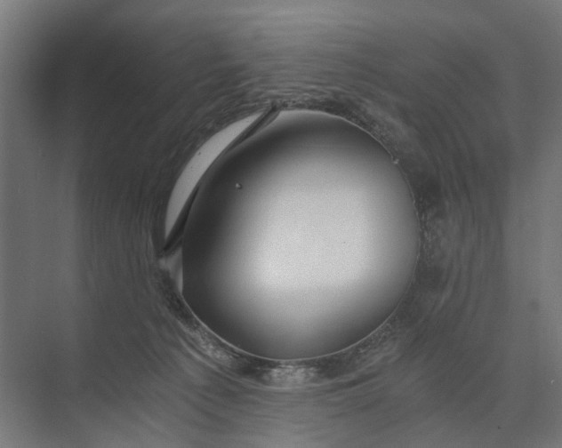 X0000073700225200608241425