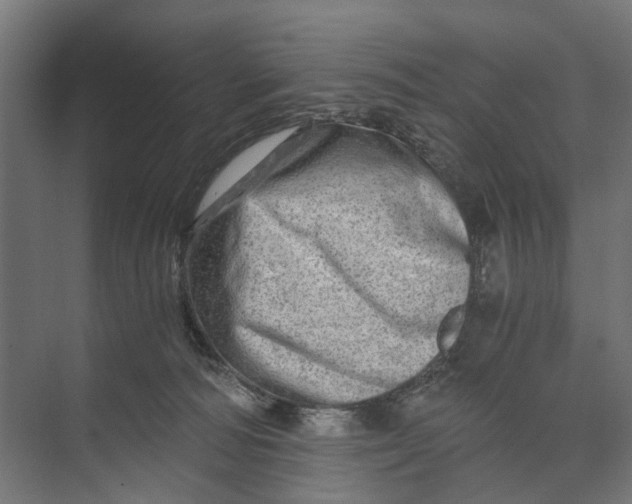 X0000073700226200608241425