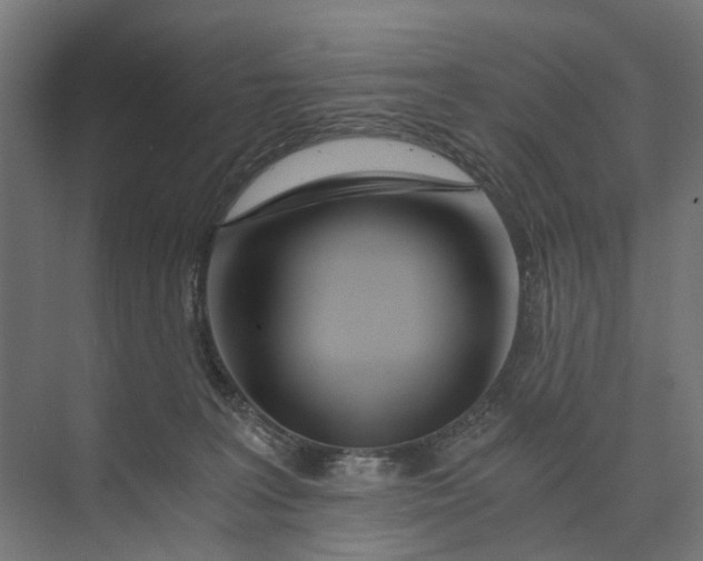 X0000073700227200608241425