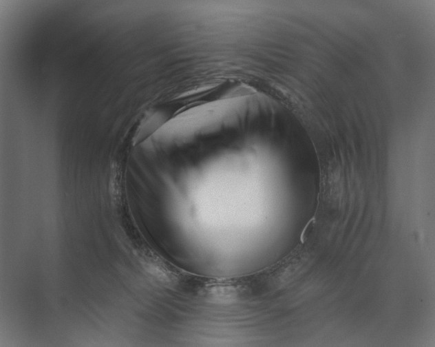 X0000073700228200608241425