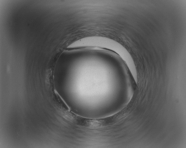 X0000073700229200608241425