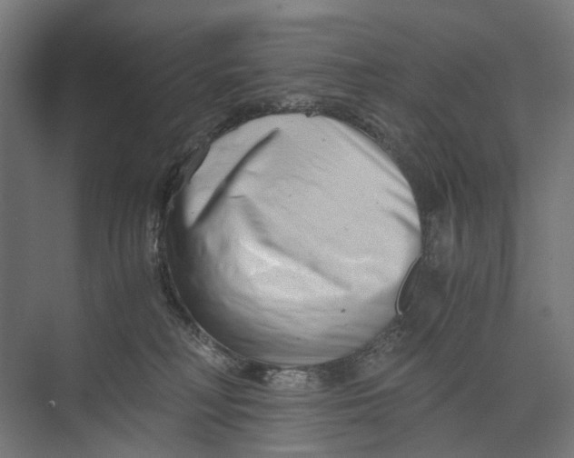 X0000073700230200608241425