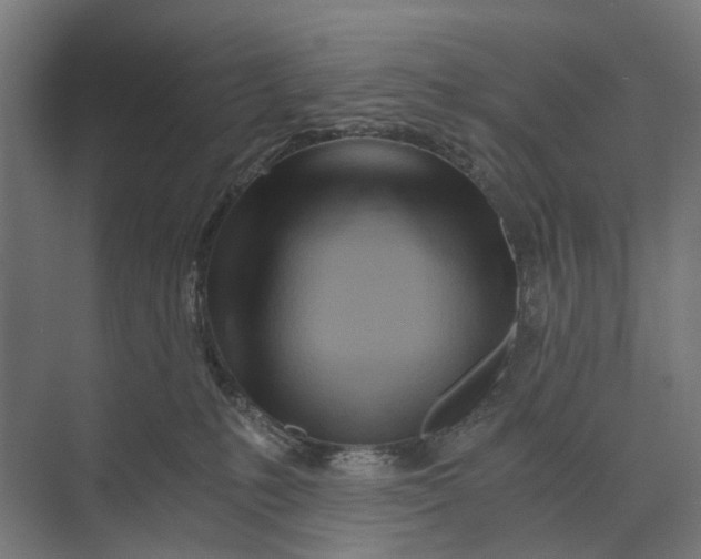 X0000073700231200608241425