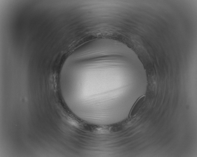 X0000073700232200608241425