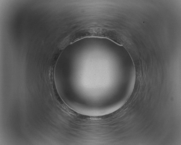 X0000073700233200608241425