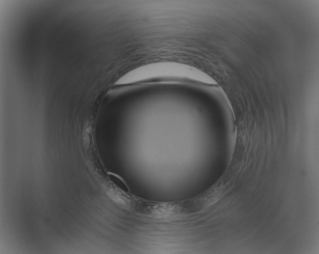 X0000073700235200608241425