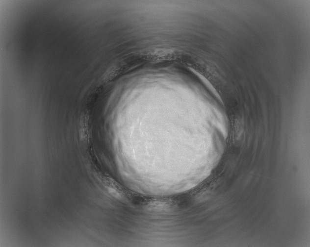 X0000073700236200608241425