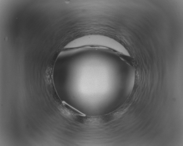 X0000073700237200608241425